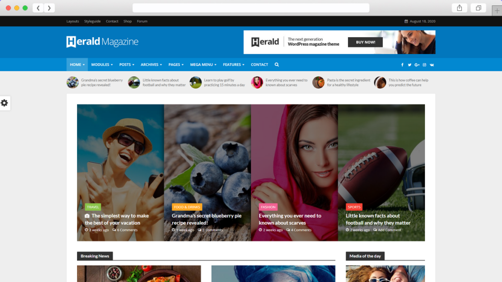 19. Herald Teme WordPress optimizate AdSense