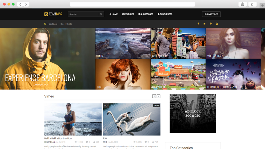 12. Teme WordPress optimizate AdSense Truemag