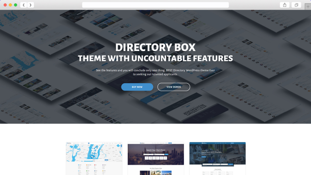 14. Director Teme WordPress optimizate AdSense