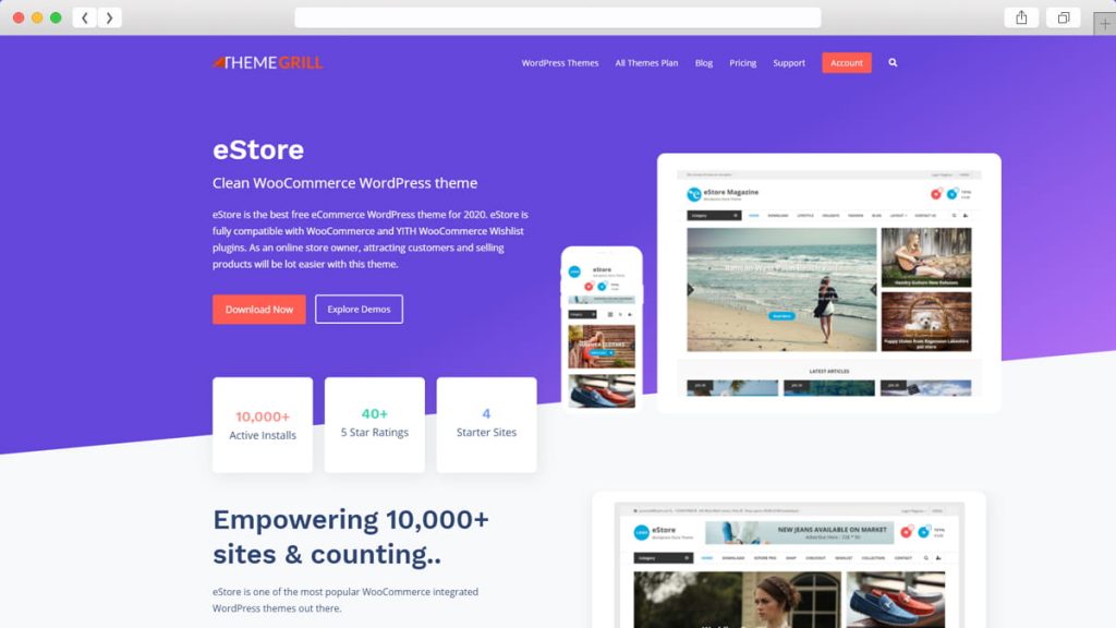 Estore Teme WordPress gratuite