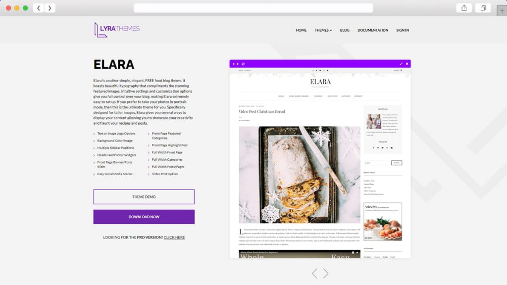 Teme WordPress gratuite Elara