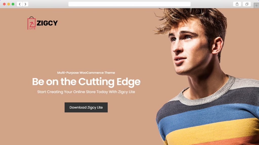 Teme WordPress gratuite Zigcy Lite