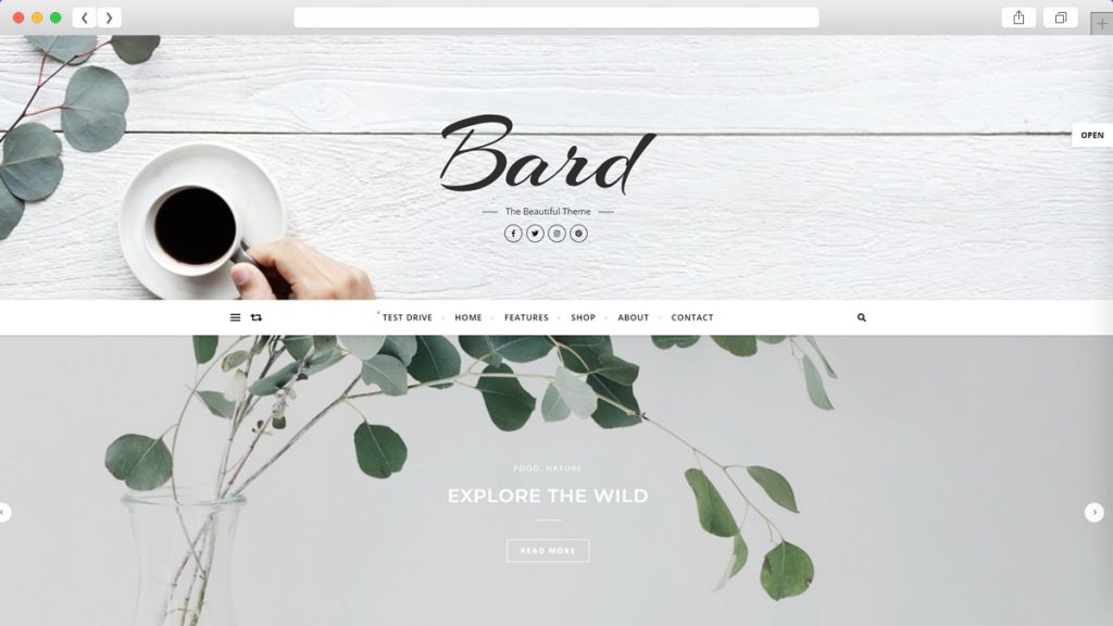 Teme WordPress gratuite Bard