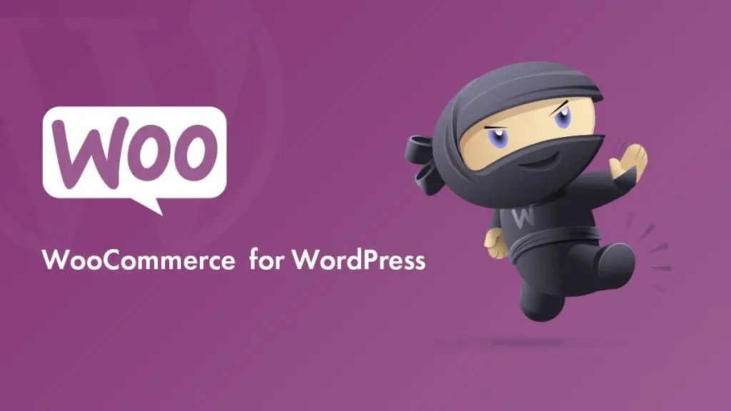 Die beliebtesten Plugins für WordPress-Website-Blog droitthemes Woocommerce