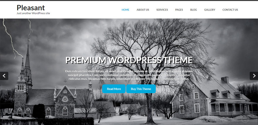 Премиум-тема WordPress