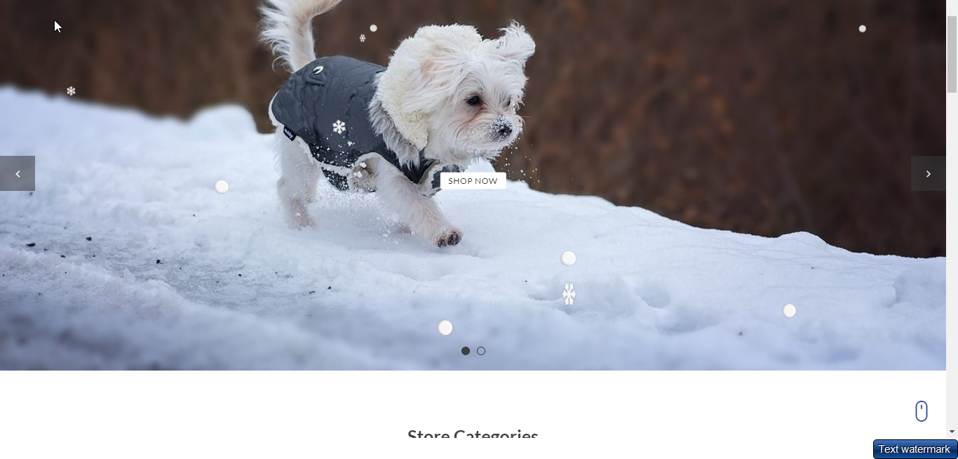 雪落在我的 WordPress 网站上