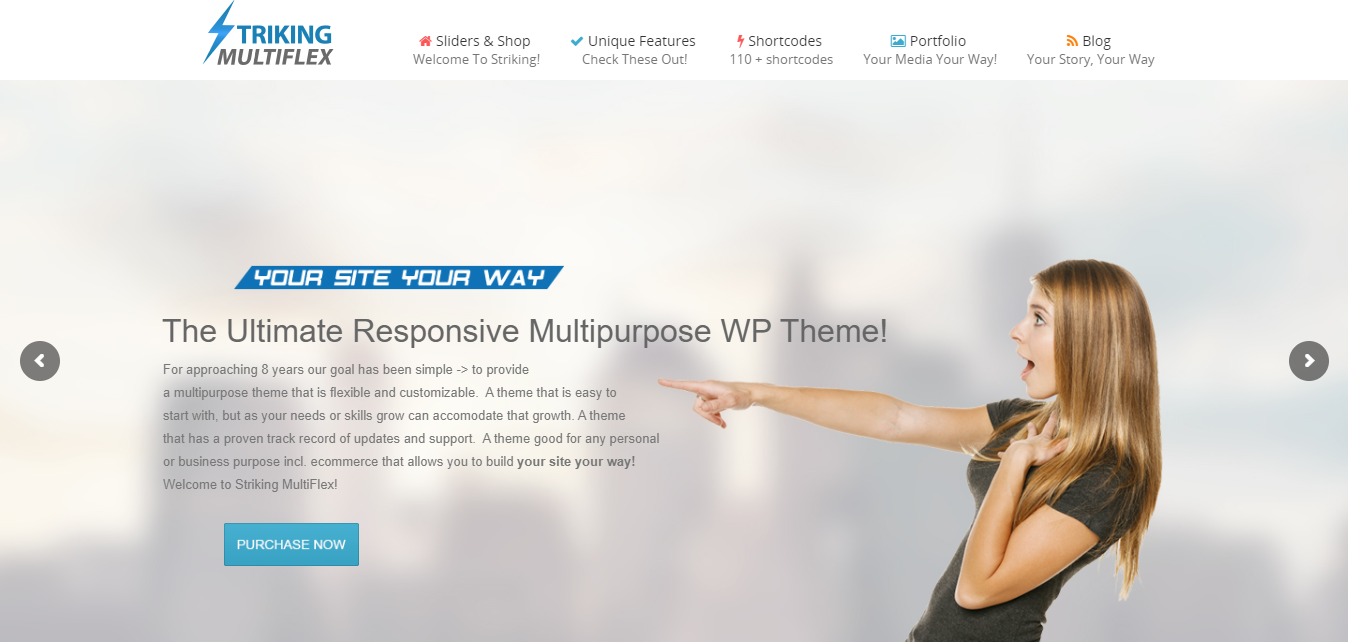 引人注目的 MultiFlex - WP 主题