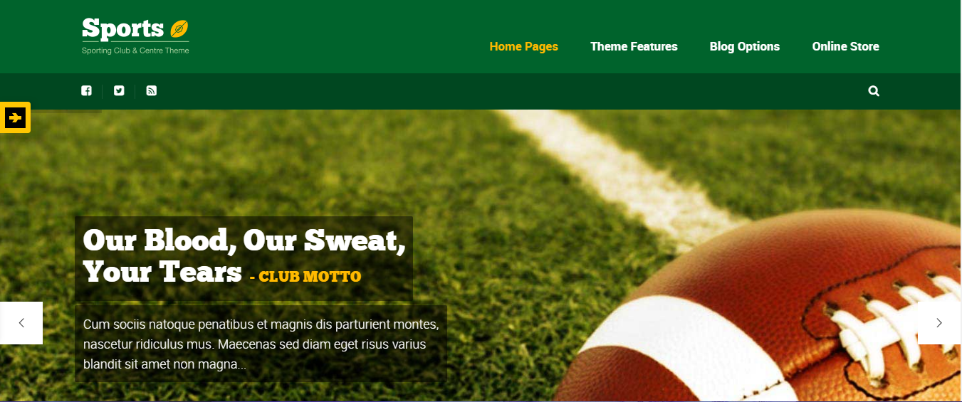 Sport - Teme WordPress pentru site-uri web de sport