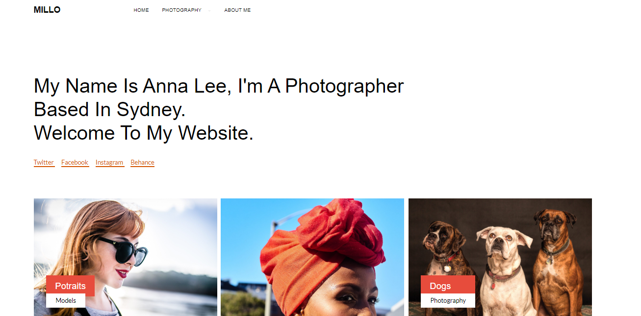 Millo - 投资组合的最佳设计主题