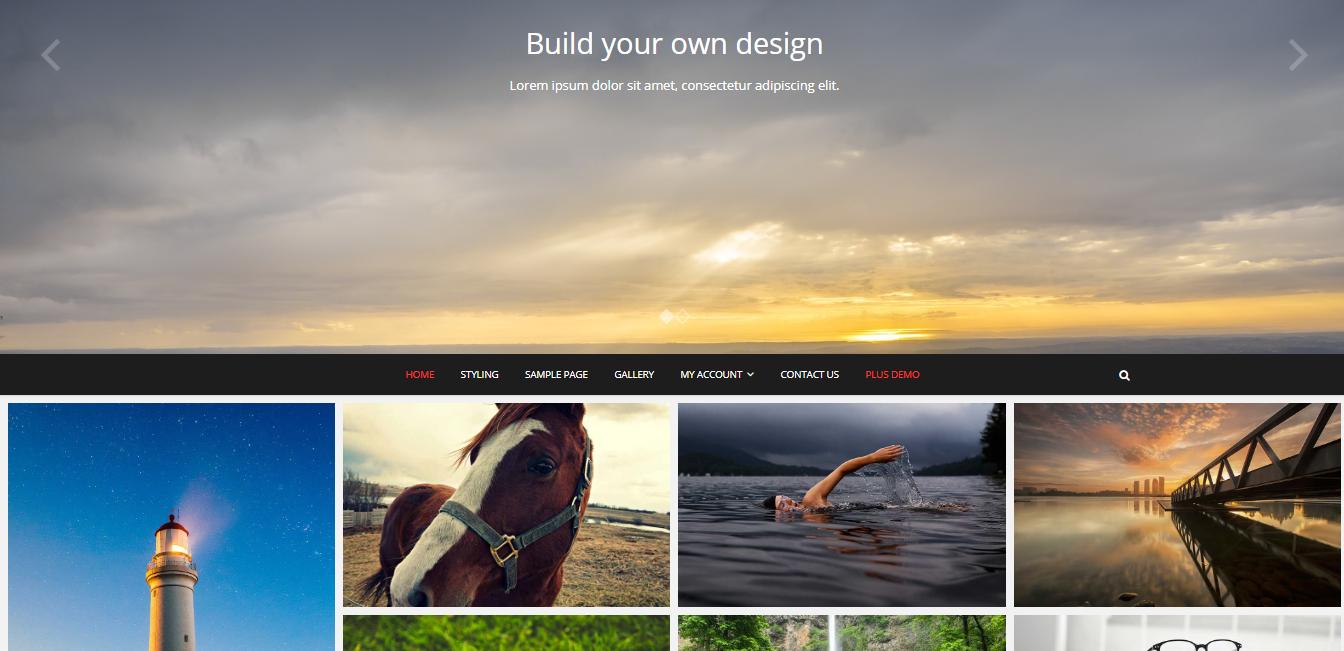 Pixagraphy - 最佳设计作品集主题