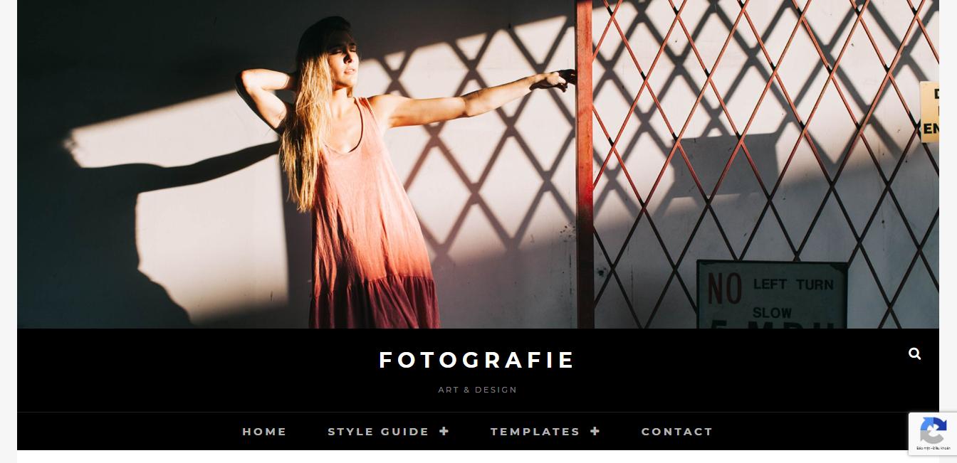 Fotografie - 设计最佳的免费 WordPress 摄影主题