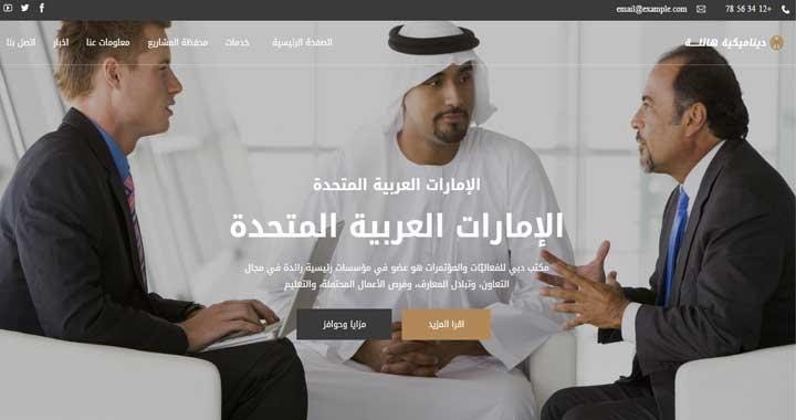 Massive Dynamic - język RTL