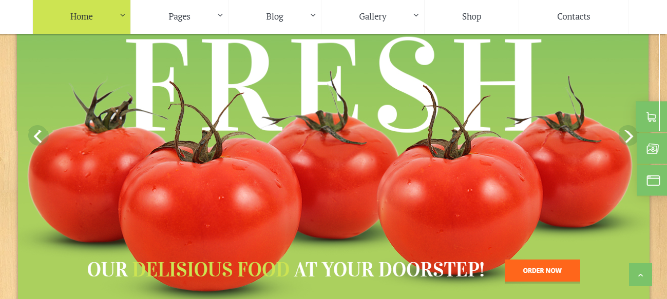 Origano - 有機食品主題