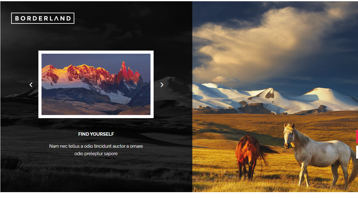 Borderland este o simplă teme WordPress multiple pe care le puteți folosi pentru orice țintă