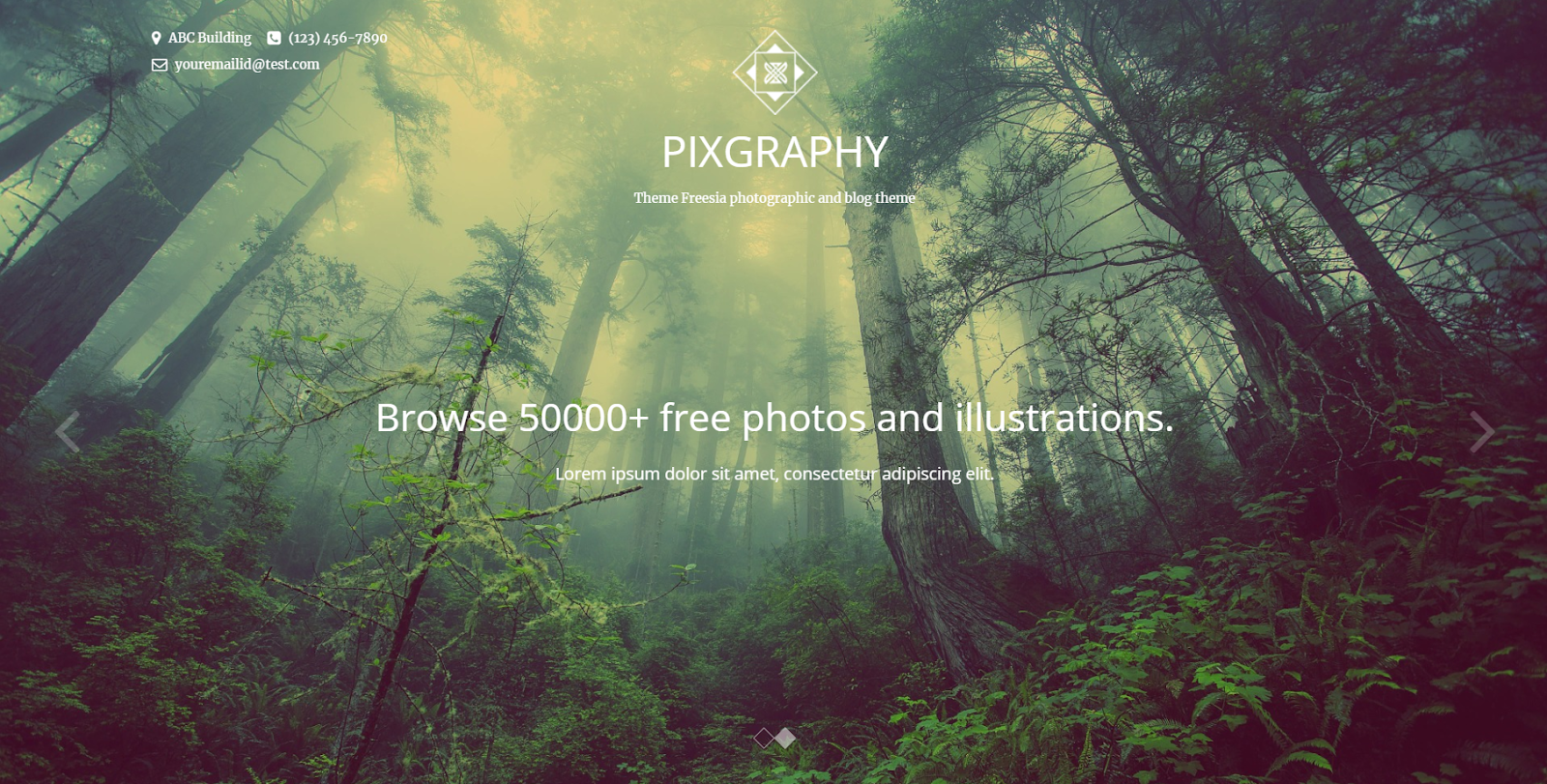 Pixgraphy bierze wszystko, co składa się na świetny motyw WordPress do fotografii, i umieszcza je w jednym pakiecie.