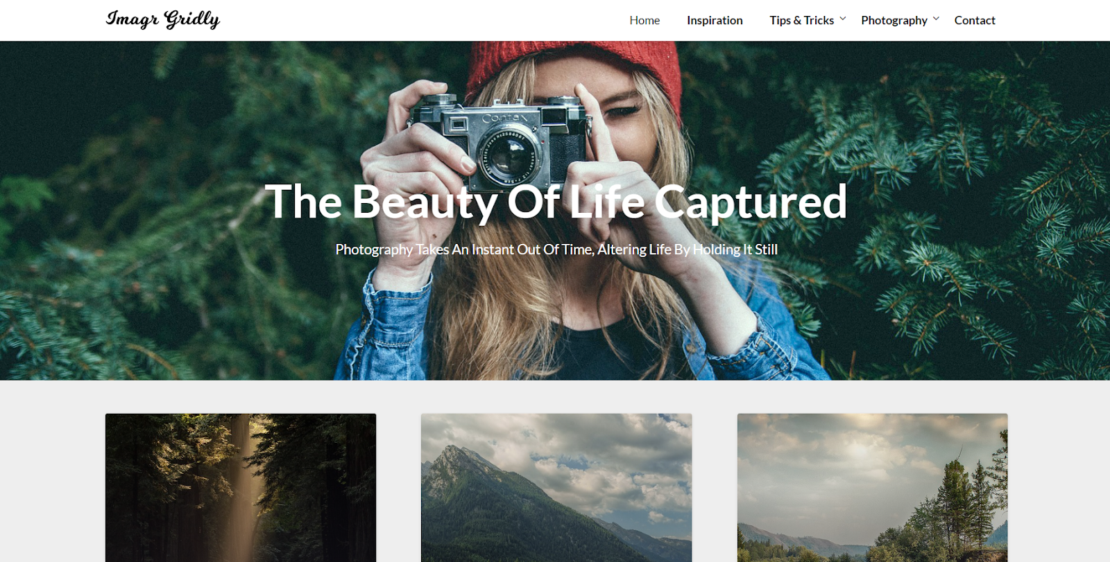 Image Gridly to kolejny prosty, bezpośredni motyw WordPress do fotografii, który nie próbuje zrobić więcej niż to, co niezbędne.