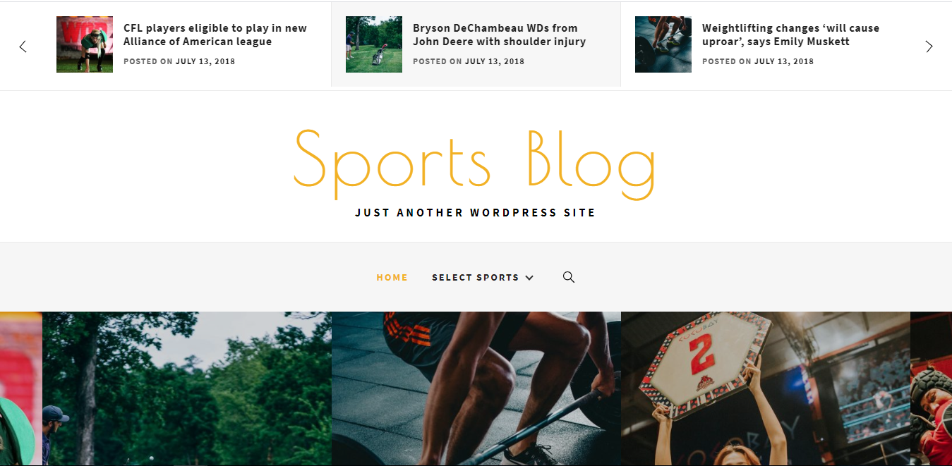 Sports Blog - это современная бесплатная спортивная тема WordPress.