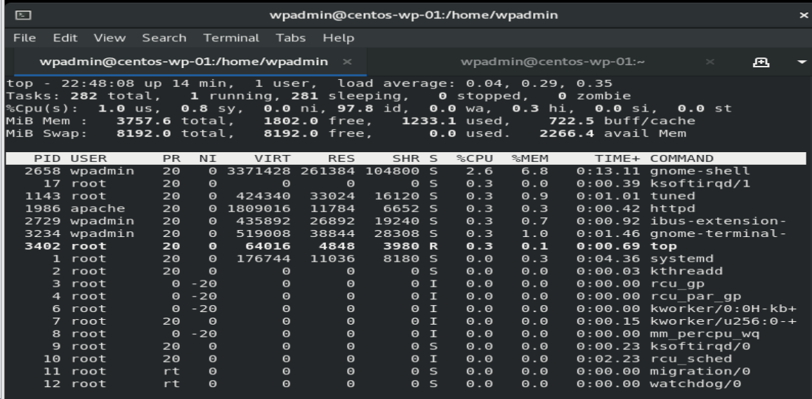 Мониторинг производительности системы поможет вам исправить ошибки в WordPress.