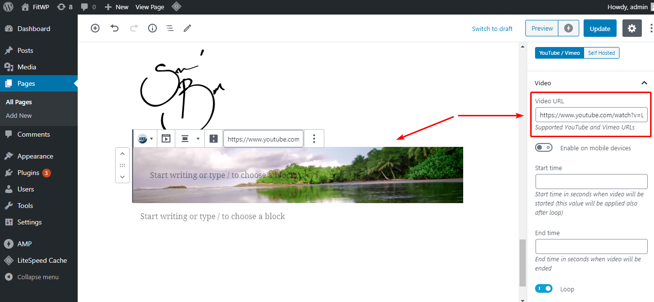 リンクを[ビデオURL]セクションに挿入します。