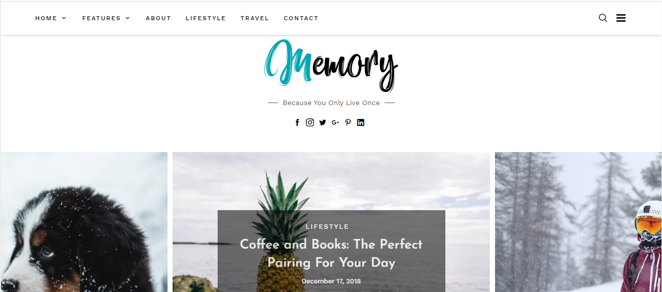 Memory es un tema de blog que ayuda a los usuarios a mantener hermosos recuerdos e historias de una manera clásica.