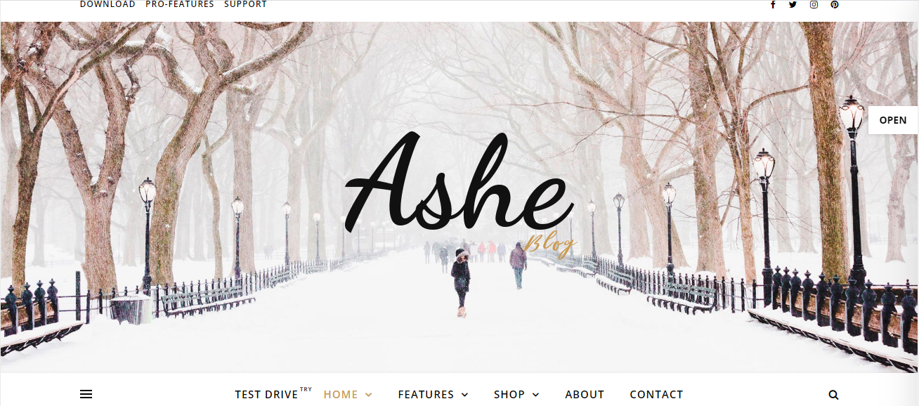 Ashe es un tema gratuito de WordPress para blogs que está perfectamente desarrollado para nuestra carrera, especialmente para principiantes.