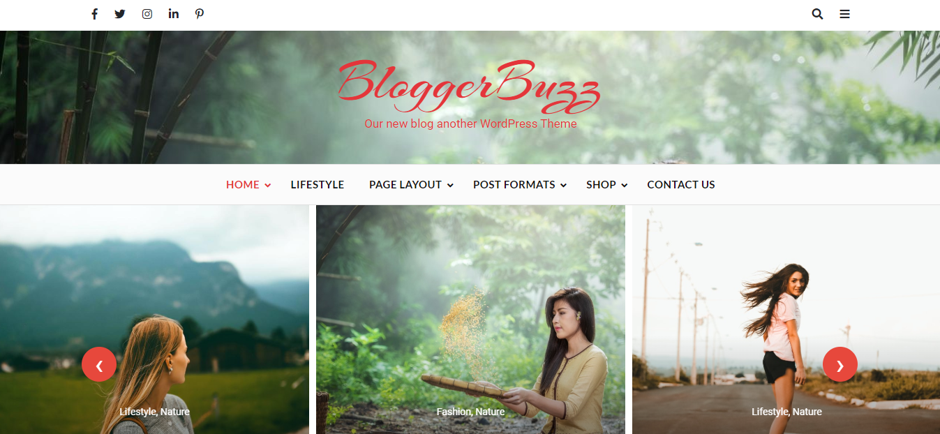 O Blogger Buzz é um tema WordPress de blog que se concentra principalmente em visuais impressionantes.