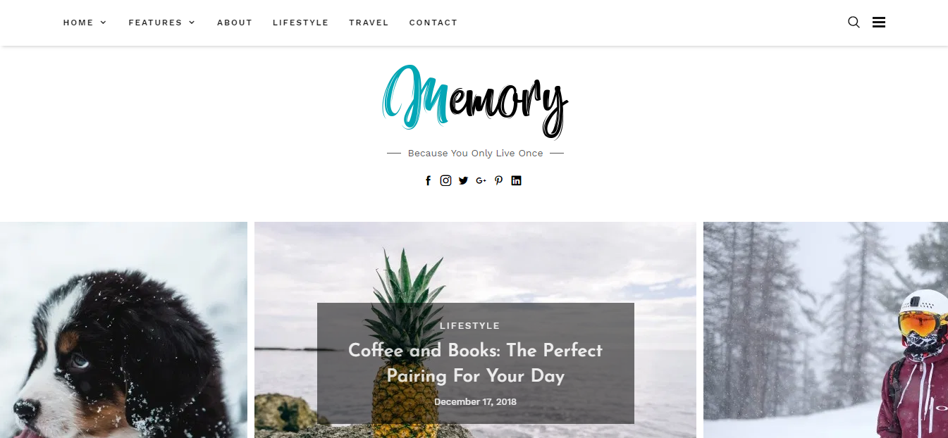 Memory é um tema WordPress gratuito que ajuda os blogueiros a manter suas belas memórias.