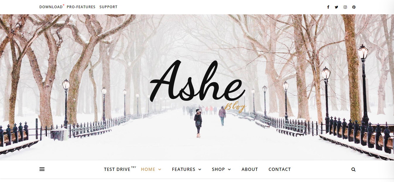 Ashe é um tema WordPress de blog de moda gratuito com layouts limpos, galeria atraente e tipografia estilosa.