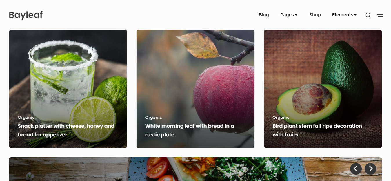 Bayleaf는 미니멀리즘과 현대적인 음식 블로그 테마입니다.