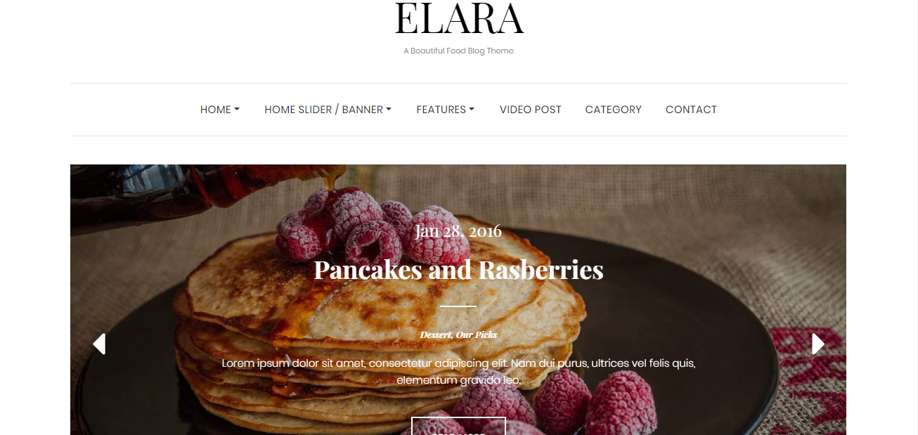 Elara는 우아한 무료 WordPress 테마입니다.