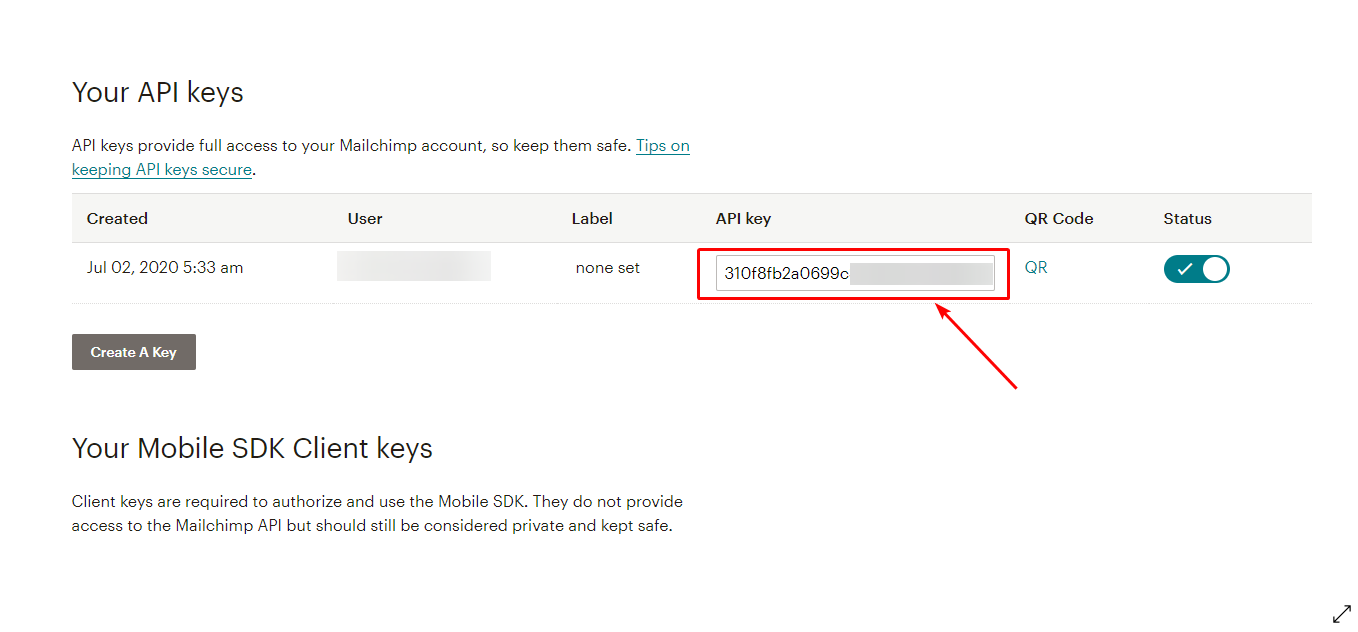 Ключ API для интеграции учетной записи MailChimp с плагином MailChimp для WordPress.