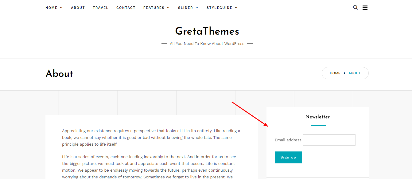 Форма, созданная MailChimp.
