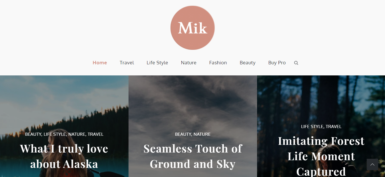 Mik은 모든 블로거에게 적극 권장되는 전형적인 3열 WordPress 블로그입니다.