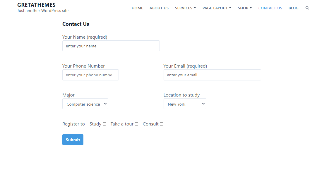 O formulário é exibido no meu site WordPress