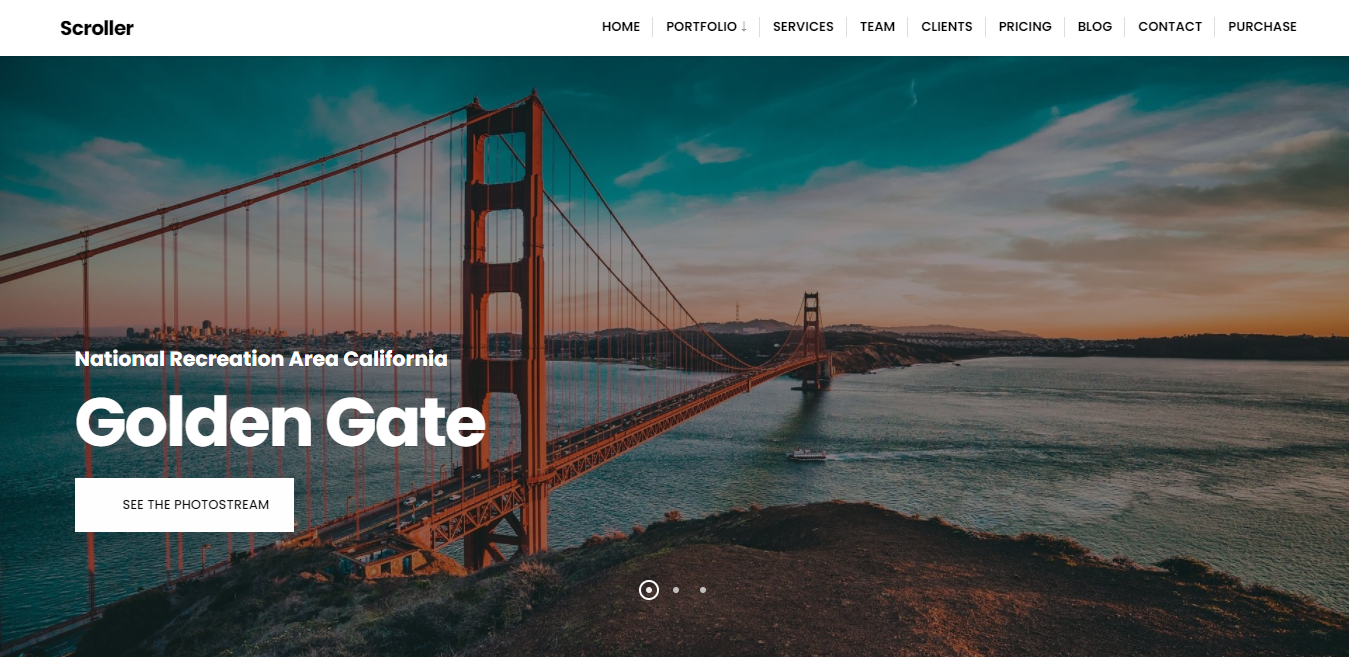 Scoller este o temă WordPress de fotografie minimalistă atrăgătoare.
