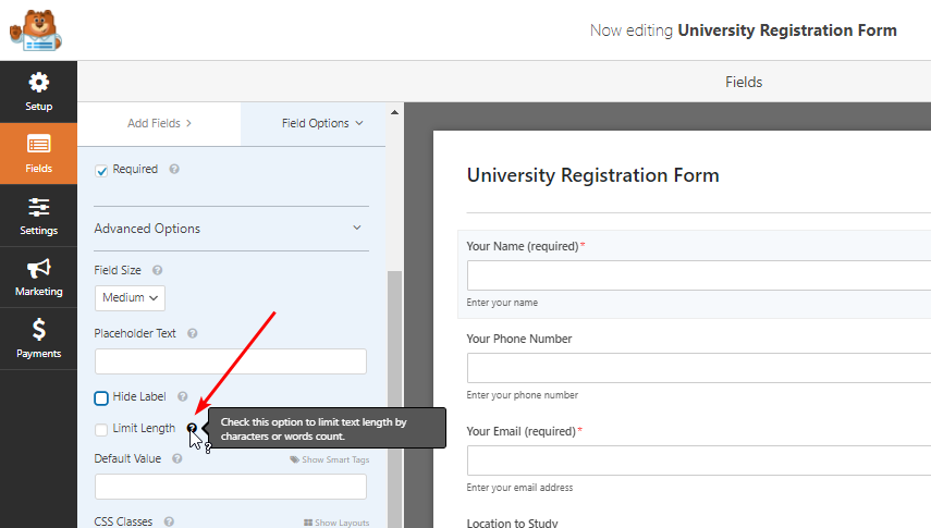 疑問符ボタンをクリックして、WPFormsの説明を読んでください