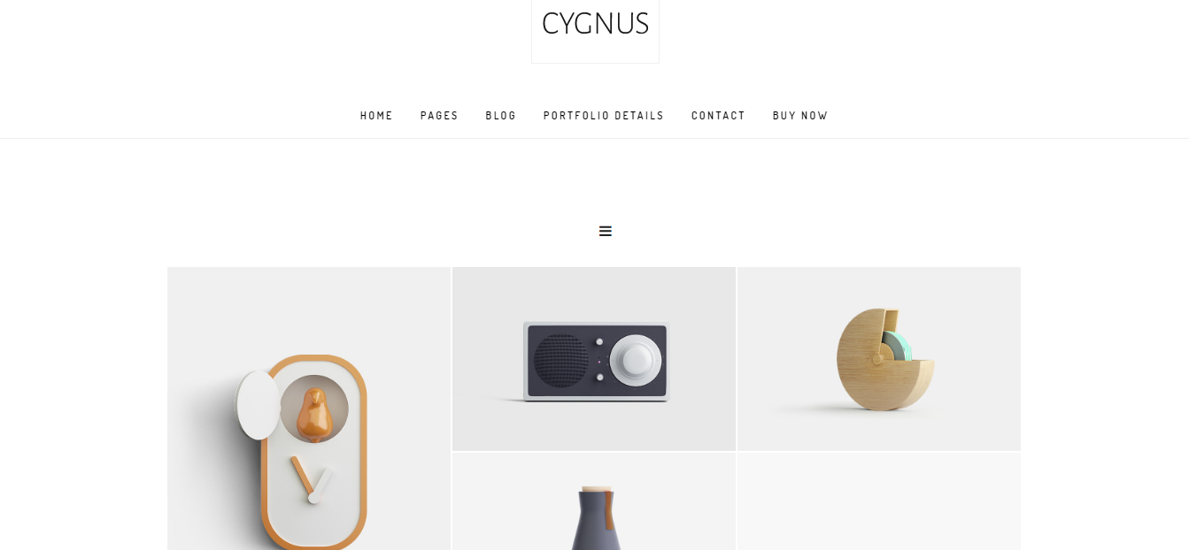 Cygnus - это минималистичная тема WordPress для портфолио.