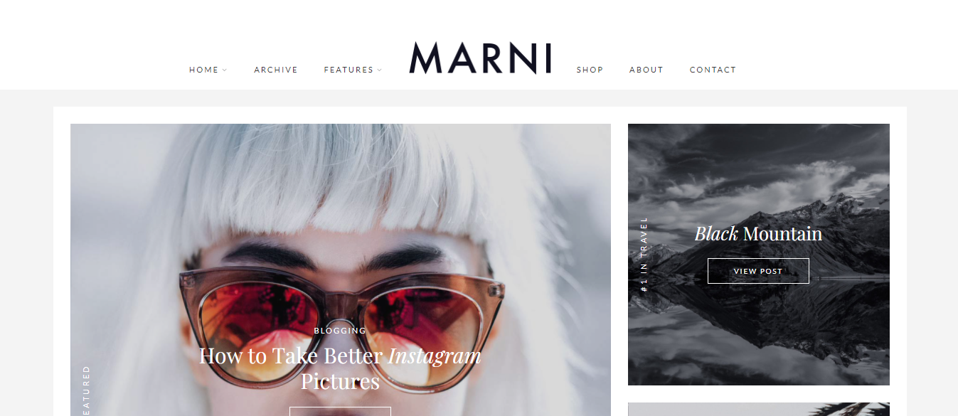 Marni, seyahat blogcularına adanmış birinci sınıf, zarif ve çekici bir WordPress temasıdır.