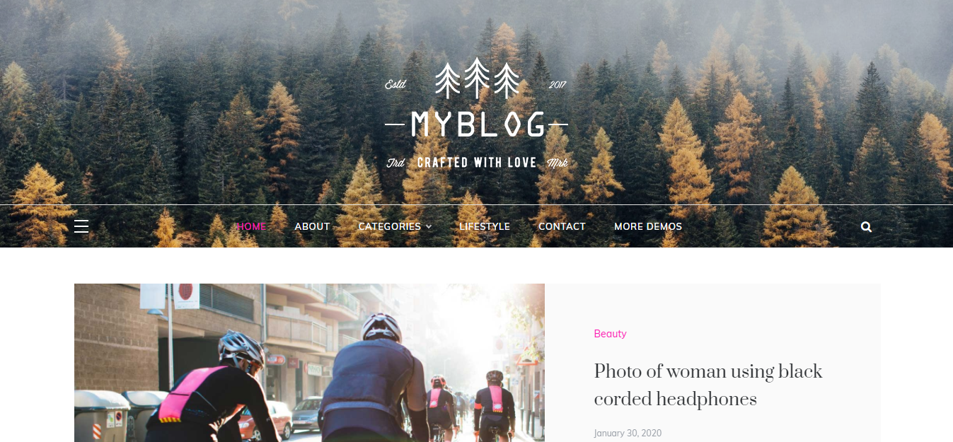 Polite Plus, profesyonel ve minimal odaklı bir WordPress temasıdır.