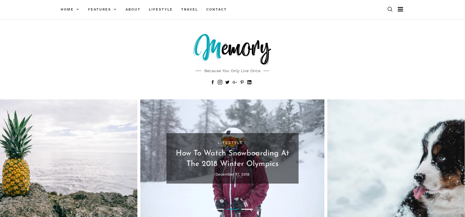 Memory est un thème WordPress élégant et attrayant.