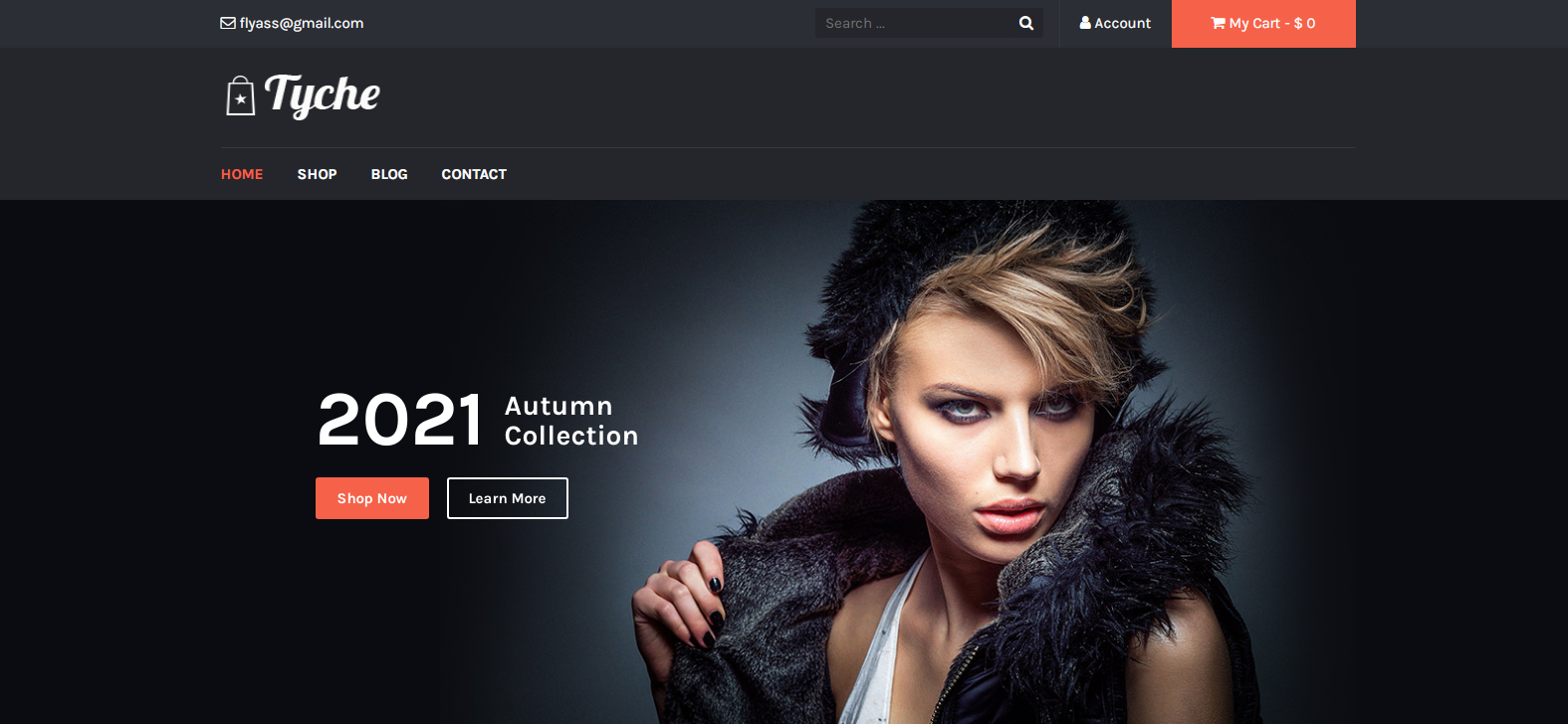 Tyche هي سمة WordPress مجانية فريدة من نوعها مصممة للمتاجر عبر الإنترنت