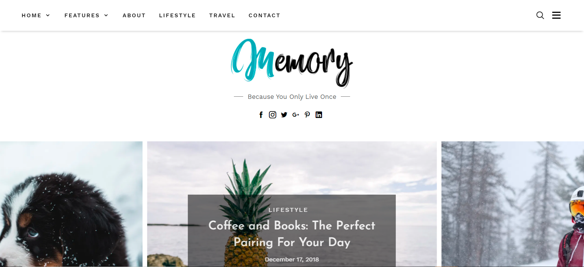 Memory 是一个免费的 WordPress 博客主题，有许多优雅的滑块。