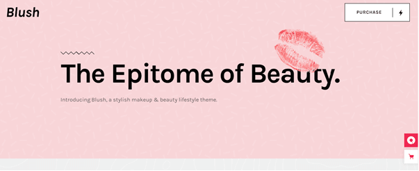 腮红 - 一个带有亮粉色调的 WordPress 主题，适合爱美的迷人女孩