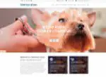 موضوع VetBox Dog Breeder WP