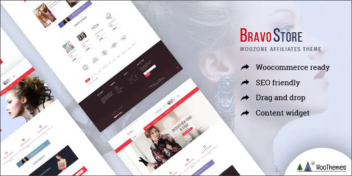 Bravo Store - WordPress için WZone Affiliates Teması