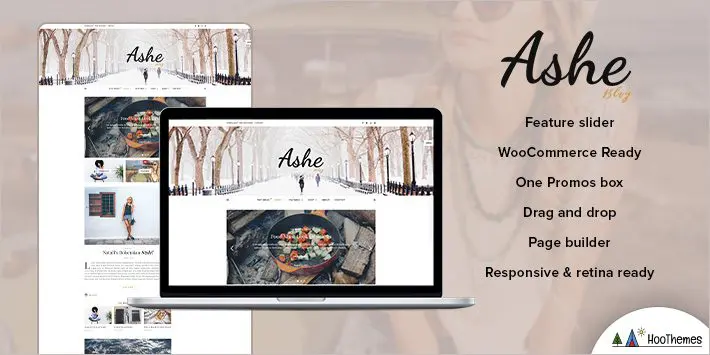 Temi Ashe WordPress per principianti