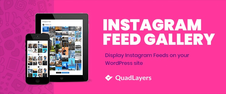 แกลเลอรี่ฟีด instagram ธีม wordpress instagram ที่ดีที่สุด