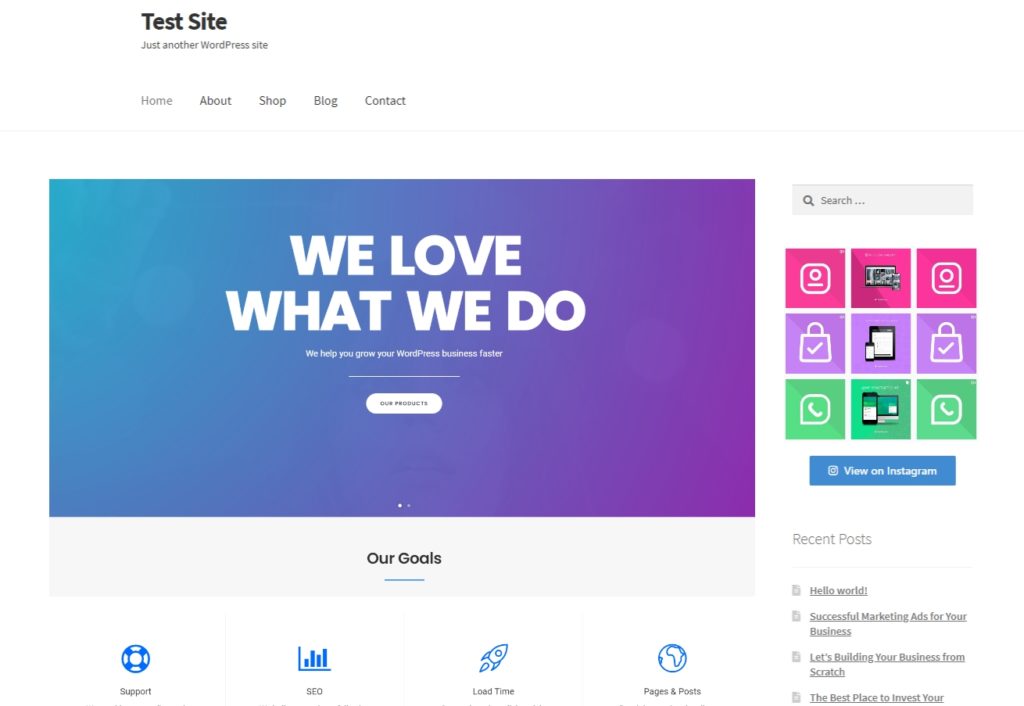 instagram feed ธีม WordPress instagram ที่ดีที่สุด