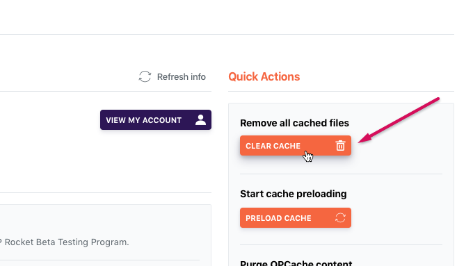 Borrar caché de WordPress usando el complemento WP Rocket