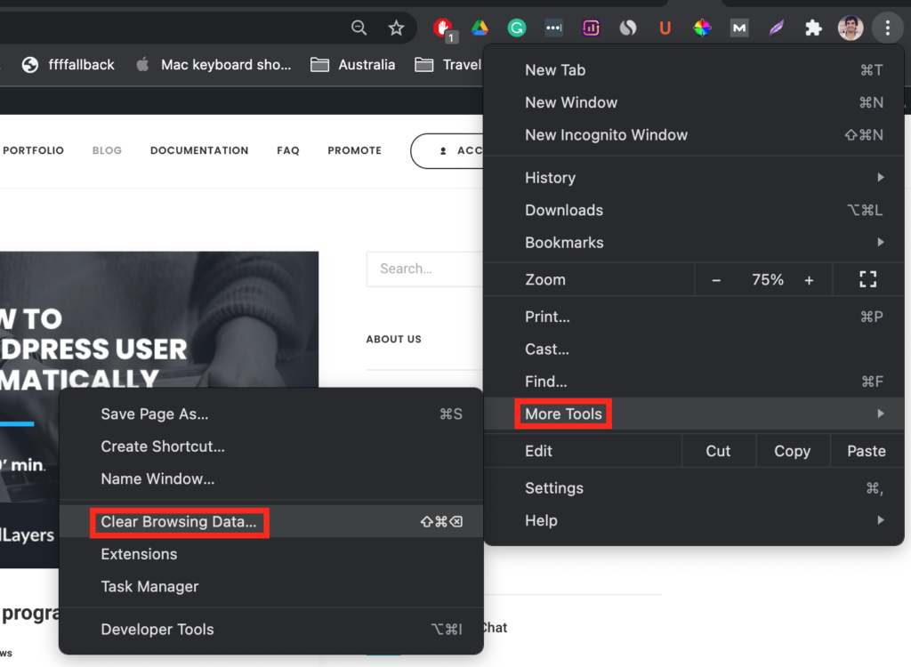 Browser-Cache löschen
